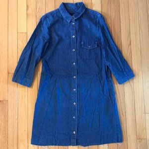 ZARA denim button down dress
